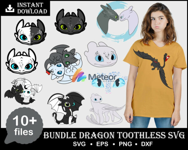 10+ Dragon Toothless svg bundle for print and cricut, dragon cutting file