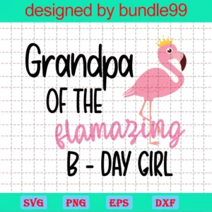 Flamazing Girl, Grandpa Of Bday Girl, Flamingo Queen, Falmimgo Girl
