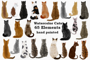 Cats Clipart Graphic Png