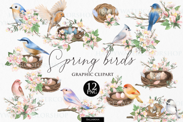 Spring Birds and Flowers Graphic Clipart Png