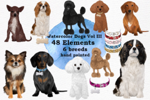 Dog Breeds Clipart Png Graphic Designs