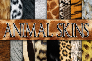 Animal Skin Digital Paper Textures Png