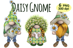 Daisy Flowers Gnome Clipart Png