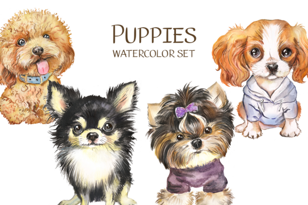 Dog Watercolor Clipart Png