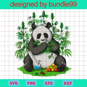 Panda Bear Weed, Weed Hippie